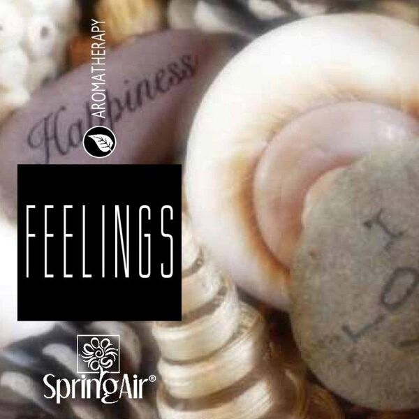 SpringAir SpringAir Odświeżacz powietrza Ultra Scent, 500 ml Feelings 8697962 5200347220276