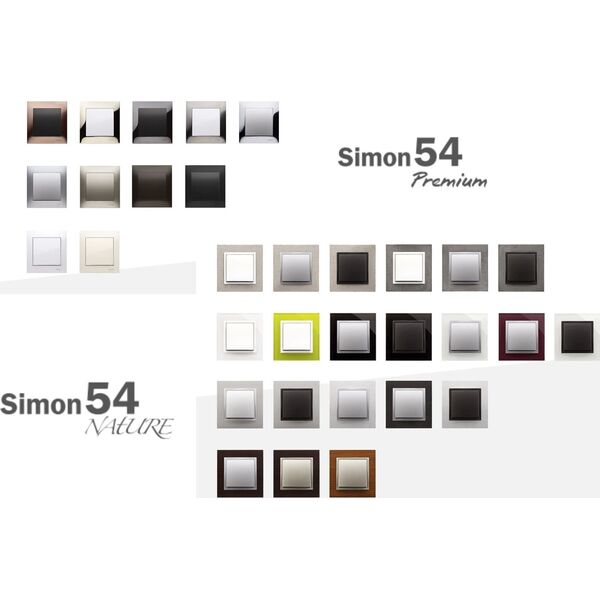 Kontakt-Simon Simon 54 GO Sterownik przyciskowy oświetleniowy - 2 wyjścia 5A, sterowany smartfonem WiFi 230V (moduł) biały DEW2W.01/11 9643884 5902787869465