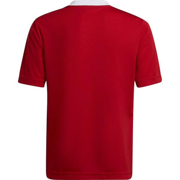 Adidas Koszulka adidas ENTRADA 22 JSY Y H57496 H57496 czerwony 164 cm 9808606 4065418760744