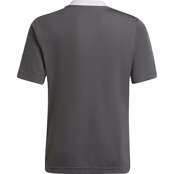 Adidas Koszulka adidas ENTRADA 22 JSY Y H57499 H57499 szary 128 cm 9808622 4065418753135