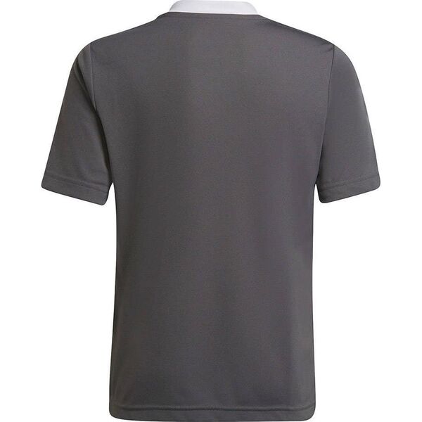 Adidas Koszulka adidas ENTRADA 22 JSY Y H57499 H57499 szary 152 cm 9808625 4065418753197