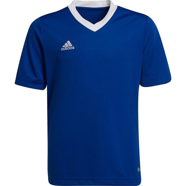 Adidas Koszulka adidas ENTRADA 22 JSY Y HG3948 HG3948 niebieski 116 cm 9808707 4065417129436