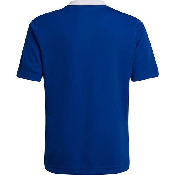 Adidas Koszulka adidas ENTRADA 22 JSY Y HG3948 HG3948 niebieski 116 cm 9808707 4065417129436