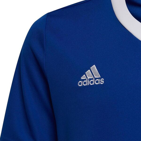 Adidas Koszulka adidas ENTRADA 22 JSY Y HG3948 HG3948 niebieski 116 cm 9808707 4065417129436