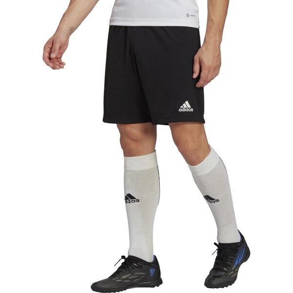 Adidas Spodenki adidas ENTRADA 22 Training Short HB0575 HB0575 czarny XL 9856885 4065418864855