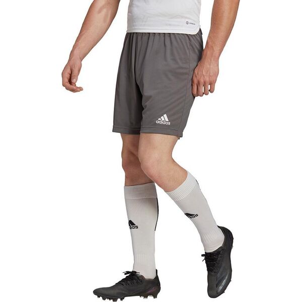 Adidas Spodenki adidas ENTRADA 22 Short H57505 H57505 szary S 9889435 4065418761222