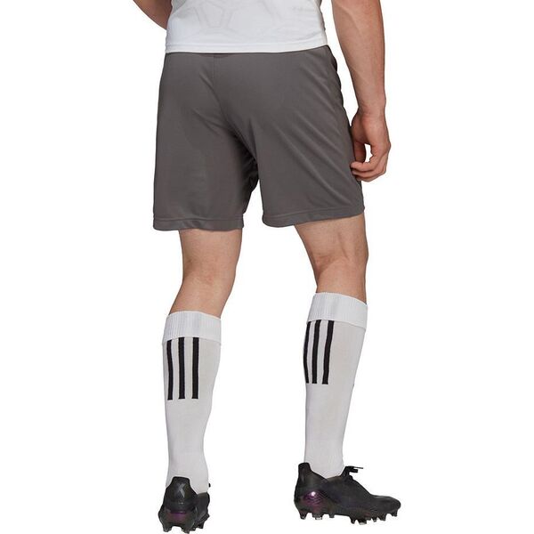 Adidas Spodenki adidas ENTRADA 22 Short H57505 H57505 szary S 9889435 4065418761222