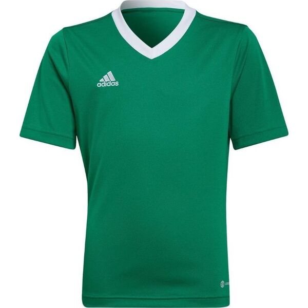 Adidas Koszulka adidas ENTRADA 22 JSY Y HI2126 HI2126 zielony 116 cm 9889454 4065425167758