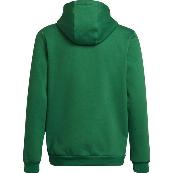 Adidas Bluza adidas ENTRADA 22 Hoody Y HI2143 HI2143 zielony 116 cm 9992597 4065425029636