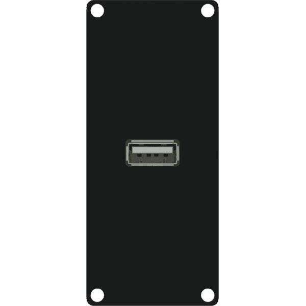 Caymon Moduł ze złączem USB 2.0 typu A (CASY161/B) 10191275 5414795037731
