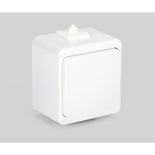 Montis Wyłącznik instalacyjny zwierny światło/dzwonek n/t 10A 250V WNT-6/7S Montis 11229386 5901811404436