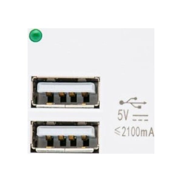Maclean Gniazdo USBx2 z ładowarką Maclean, podwójne, 2.1A fast charge, białe, MCE728W 11239035 5902211124849