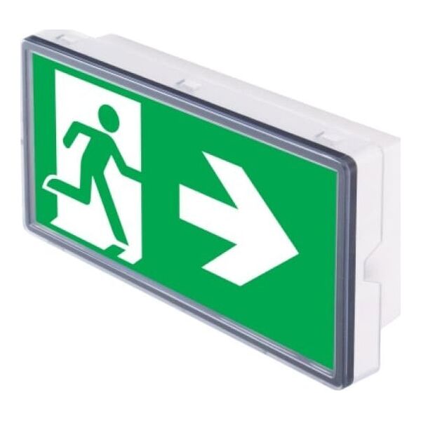 Intelight Oprawa ewakuacyjna/awaryjna VELLA LED ECO SO 125 SA 3H MT IP65 (4W/157 lm) INLEWA 93667 11263765 5902270317619
