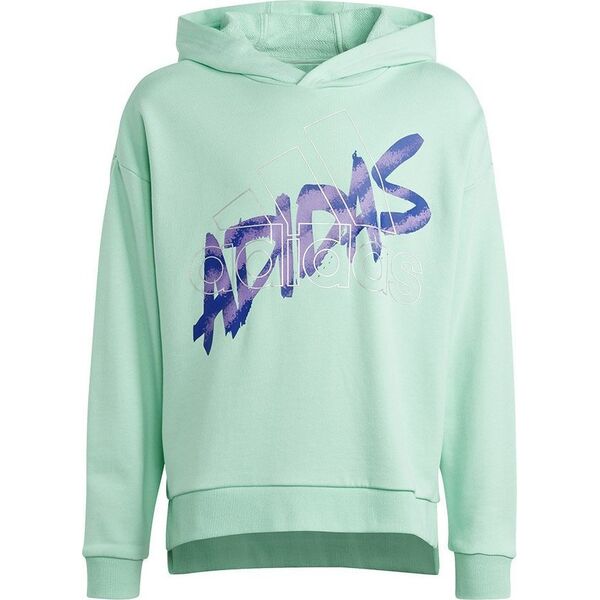 Adidas Bluza adidas D Hoody Jr HR5825 12937469 4066752392837