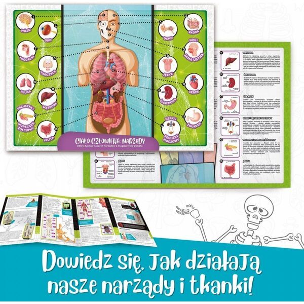 Lisciani Zestaw naukowy Im a Genius Poznaj ciało człowieka 12994504 8008324101474