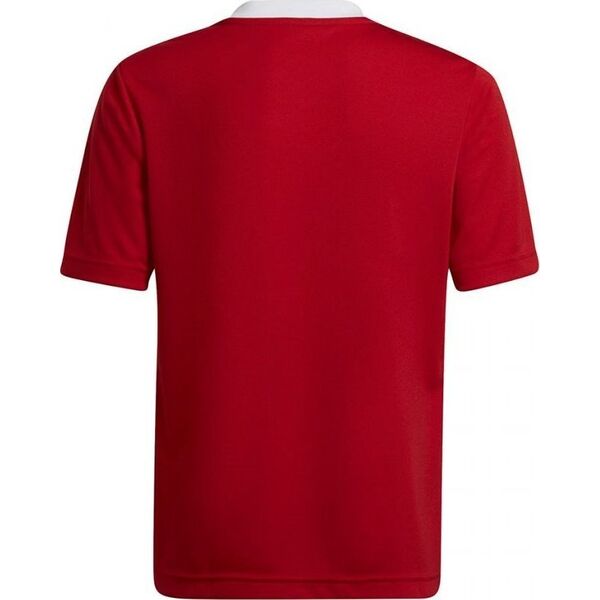 Adidas Koszulka adidas Entrada 22 Jsy Jr H57496 13014108 4065427349824
