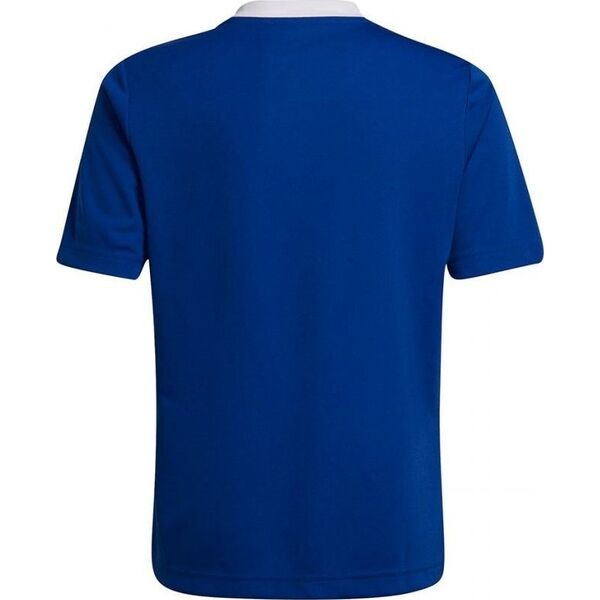 Adidas Koszulka adidas Entrada 22 Jsy Jr HG3948 13014109 4065427353586