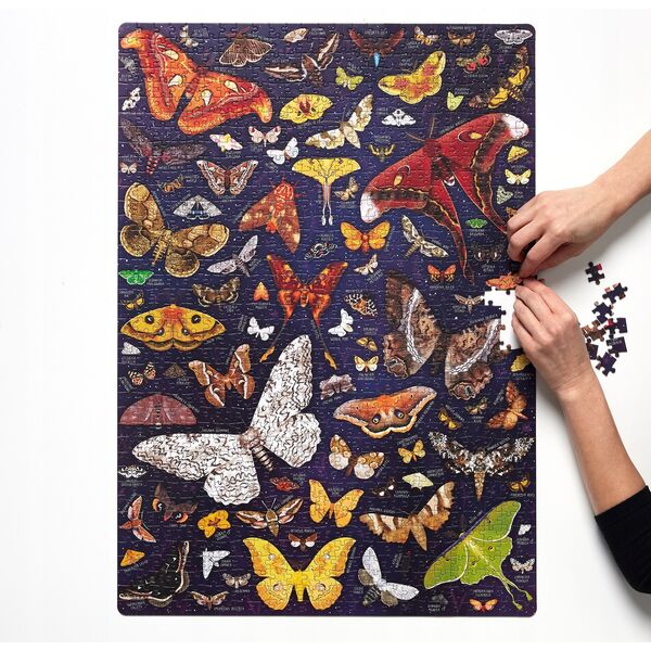 Czuczu Puzzle 1000 elementów Puzzlove Ćmy 13213514 5902983492832