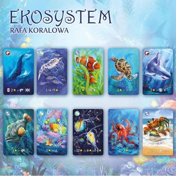 Nasza Księgarnia Gra Eko system 2 Rafa koralowa 13220865 5904915900408