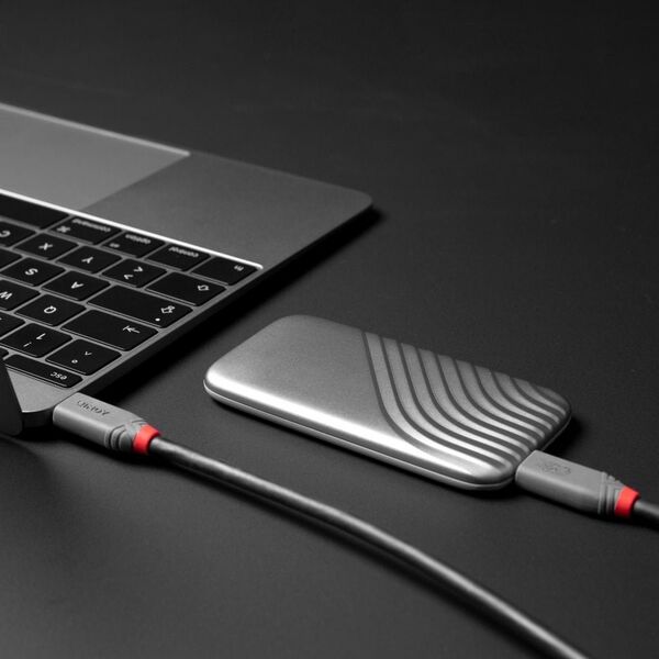 Kabel USB Lindy USB-C - USB-C 1.5 m Czarny (36957) 13238271 4002888369572
