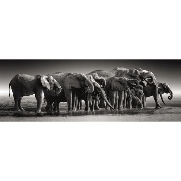 Clementoni Puzzle 1000 elementów Panorama High Quality Herd of Giants 13244882 8005125398362