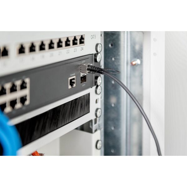 Digitus DIGITUS Professional 10GBase direct attach cable - 10 m 13255094 4016032445999