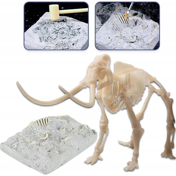 Clementoni Zestaw naukowy Skamieniałości Mamut 13257431 8005125508594