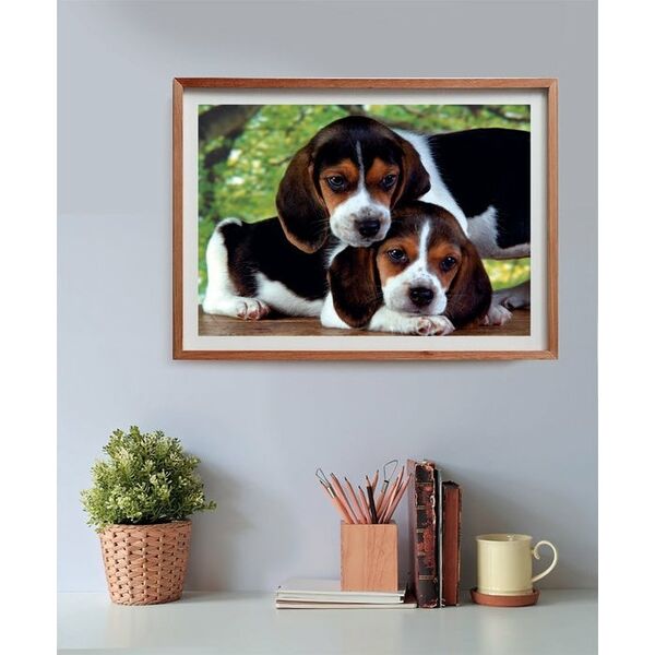 Clementoni Clementoni Puzzle 500el Compact Close together 35536 13276722 8005125355365