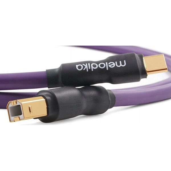 Kabel USB Melodika USB-C - USB-B 2.5 m Fioletowy (MELO-MDUCB25) 13295429 5907609009913