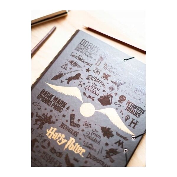 Harry Potter Harry Potter - Folder / teczka z gumką A4 (24 x 34 cm) 13305984 8435497231460