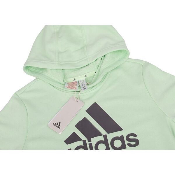 Adidas Bluza dla dzieci adidas Big Logo Essentials Cotton Hoodie jasnozielona IS2591 152cm 13324022 4067887394499