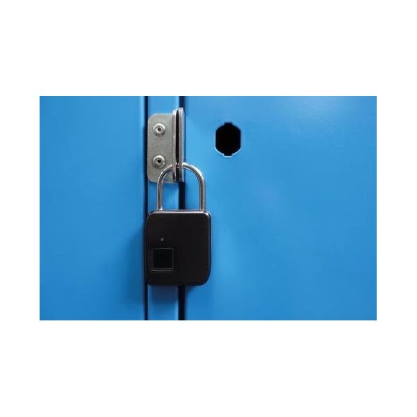 Schwaiger Schwaiger Fingerprint Schloss mit Stahlbügel 13333077 4004005715941