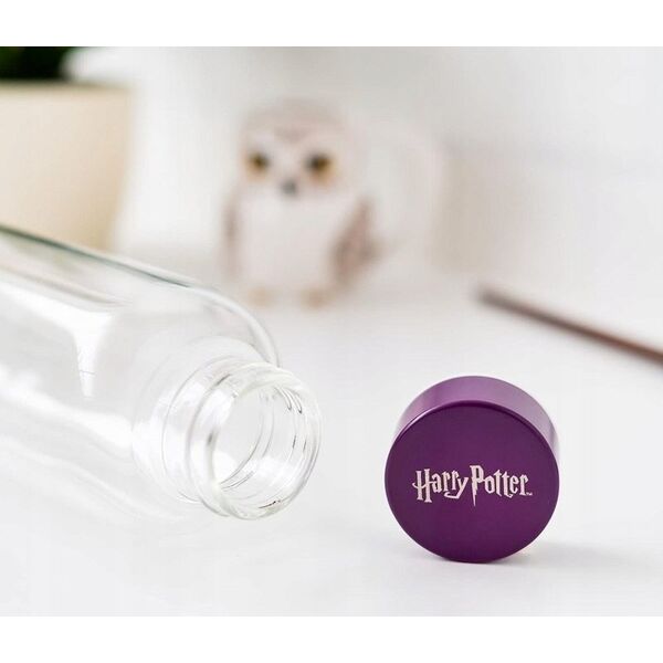 Harry Potter Harry Potter - Butelka na wodę ze szkła 500 ml (Hogwarts) 13341510 8435497271923