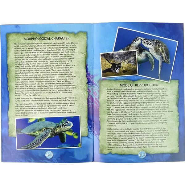 LeanToys Zestaw Edukacyjny Wykopaliska Żółw Amonity 13675066 5905679074442