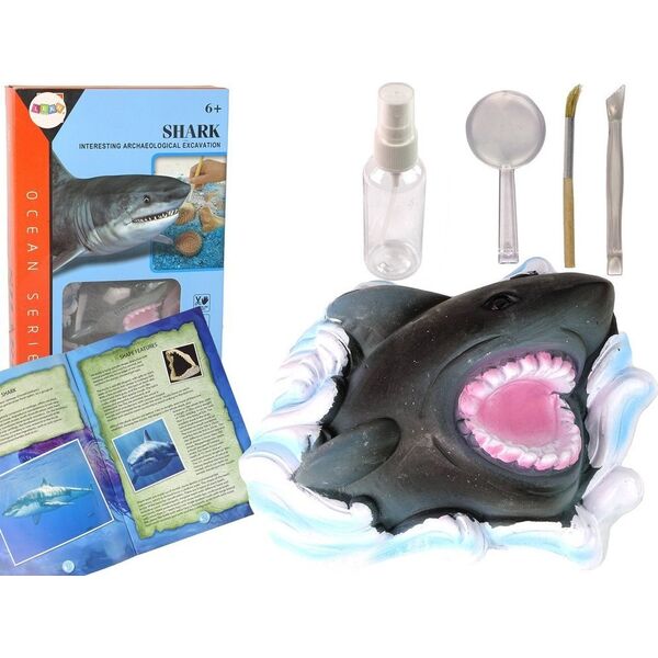 LeanToys Zestaw Edukacyjny Wykopaliska Rekin Amonity 13675068 5905679074435