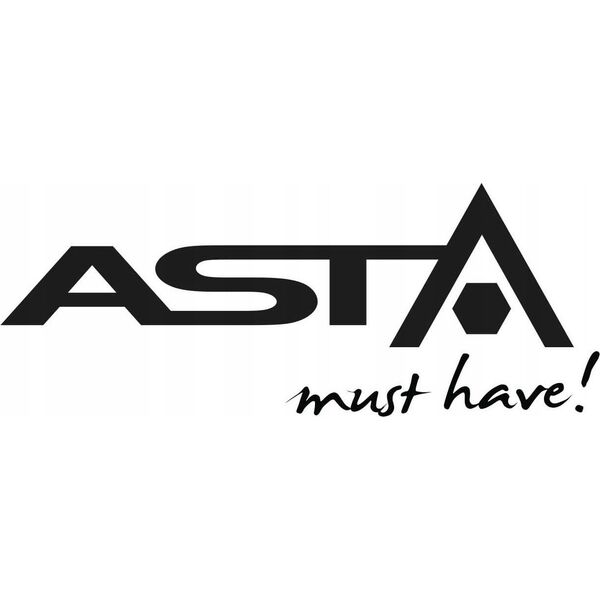 Asta ASTA LAMPA AKUMULATOROWA LED COB Z MAGNESEM 800LM 13683505 5905178772849