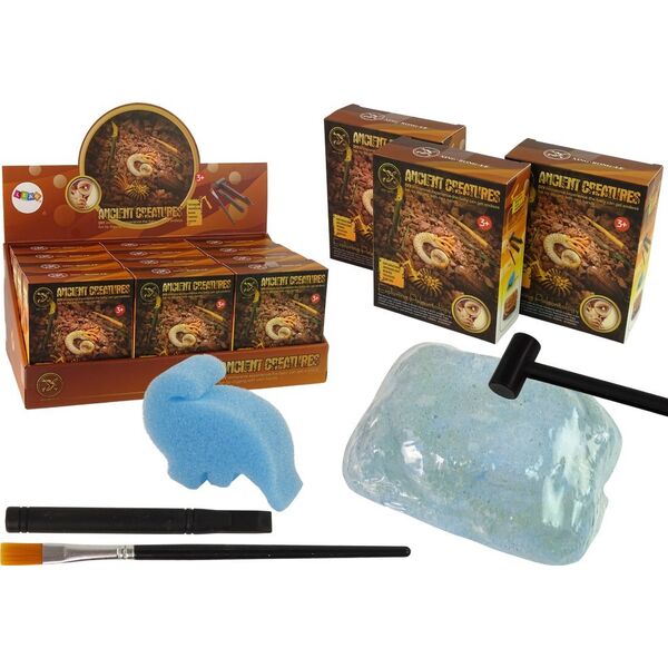 LeanToys Zestaw Wykopaliska Starożytne Stworzenia Amonit Niespodzianka 13755570 5905323212121