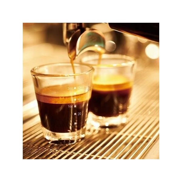 Hario Hario Espresso Shot Glass 80 ml 13757702 4977642240834
