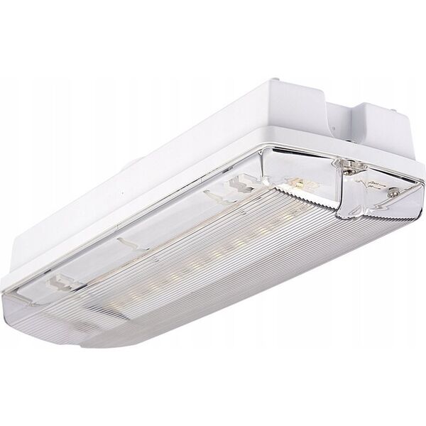 Intelight Oprawa awaryjna LED Intelight Orion MT INLEWA 91895/41628 10xLED 4W 104lm 3h SA/A IP65 13816008 5904035714381