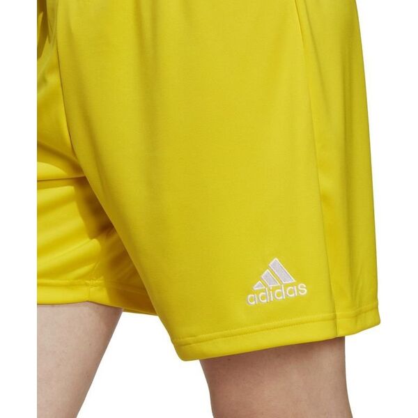 Adidas Spodenki adidas ENTRADA 22 Short IC7404 13880261 4066746431313