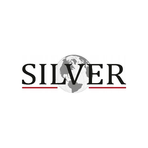 Silver ZESTAW KOŃCÓWEK  13el./SILVER 13931150 5907589366556