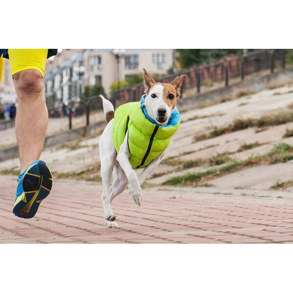 DOGGY S 35 KURTKA AIRYVEST DWUSTRONNA JASNOZIELONA + NIEBIESKA 13940777 5902414551480