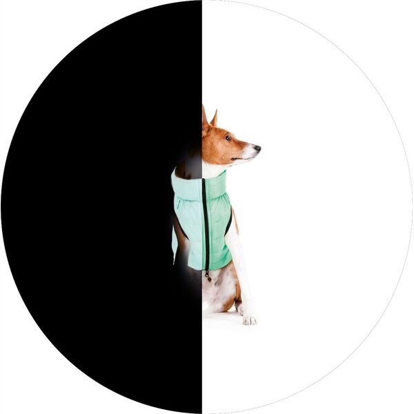 DOGGY S 35 KURTKA LUMI ODBLASKOWA JASNOZIELONA + NIEBIESKA 13940783 5902414550568