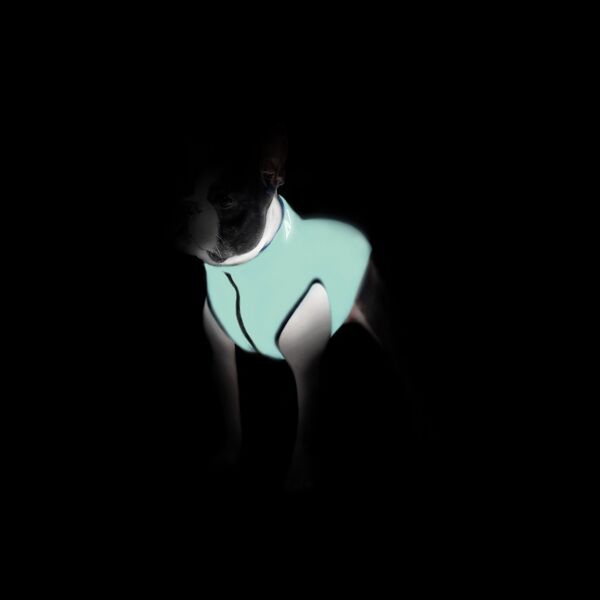DOGGY S 35 KURTKA LUMI ODBLASKOWA JASNOZIELONA + NIEBIESKA 13940783 5902414550568