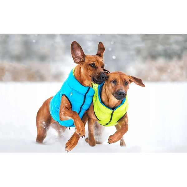 DOGGY S 35 KURTKA LUMI ODBLASKOWA JASNOZIELONA + NIEBIESKA 13940783 5902414550568