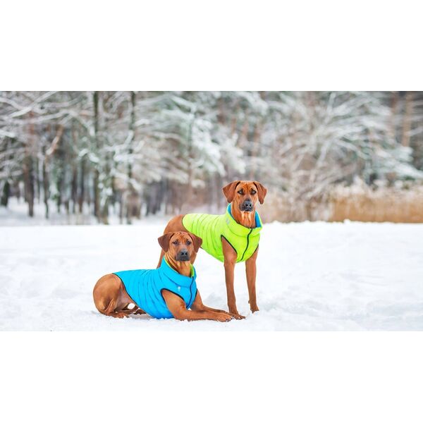 DOGGY S 35 KURTKA LUMI ODBLASKOWA JASNOZIELONA + NIEBIESKA 13940783 5902414550568