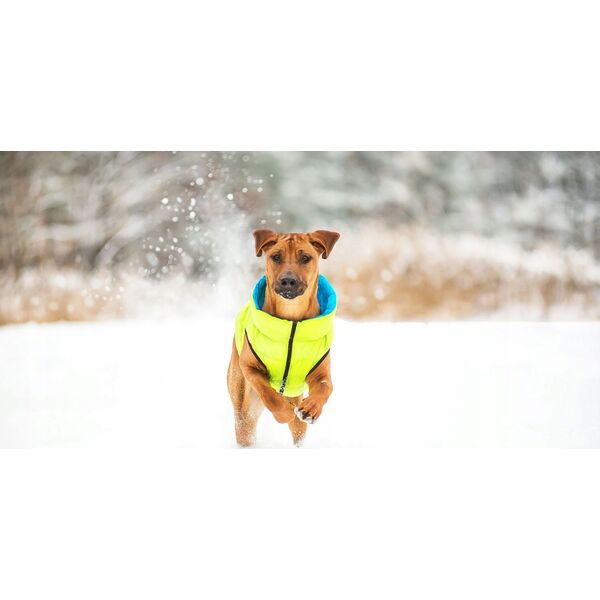 DOGGY S 35 KURTKA LUMI ODBLASKOWA JASNOZIELONA + NIEBIESKA 13940783 5902414550568