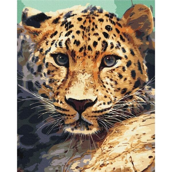 Norimpex Malowanie po numerach BRUSHME, 40x50 cm, portret lamparta, 1 szt. 13977341 5901498127659