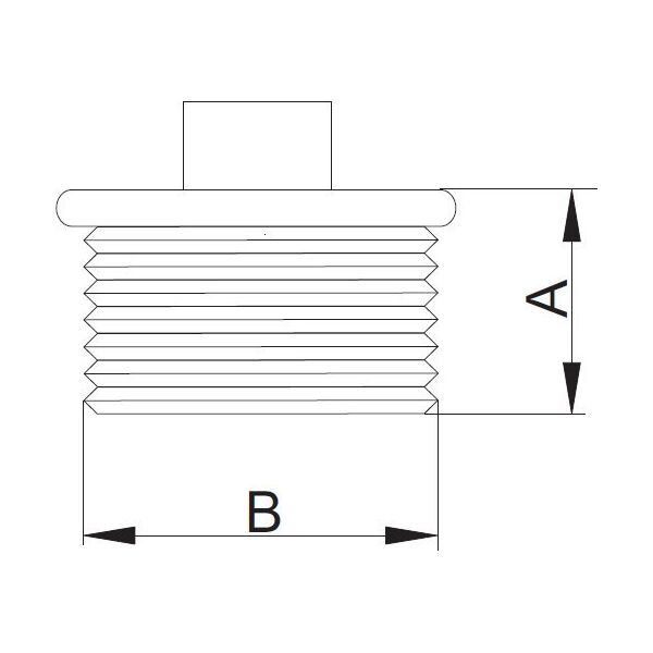 KOREK Z OBRZEŻEM OCYNK GZ 2"  HYDROLAND  // ŁH.KOR.50 13998285 5900308737620