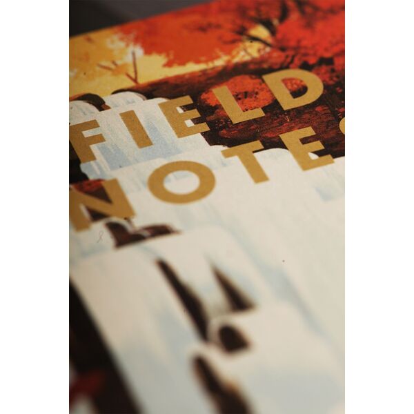 Ravensburger Notes Field Notes Parki Narodowe USA Denali Cuya 14046237 858493003929